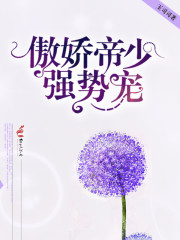 ٣ǿƳ裡ߣ˾˾VIPᣩTXT