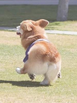 лɳˡߣKLBBCPᣩTXT