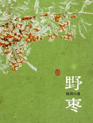 ��Ұ�桷���ߣ�����